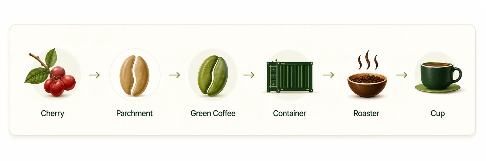 Coffee journey from cherry to cup